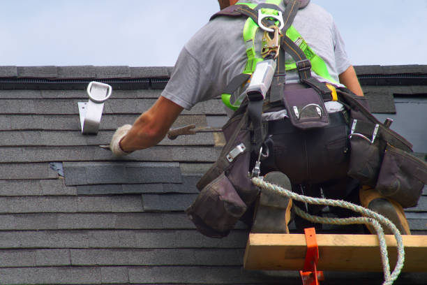 Best Metal Roofing Contractor  in Alma, MI