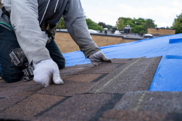 Best Local Roofing Companies  in Alma, MI