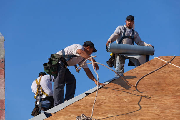 Best Roof Restoration Services  in Alma, MI