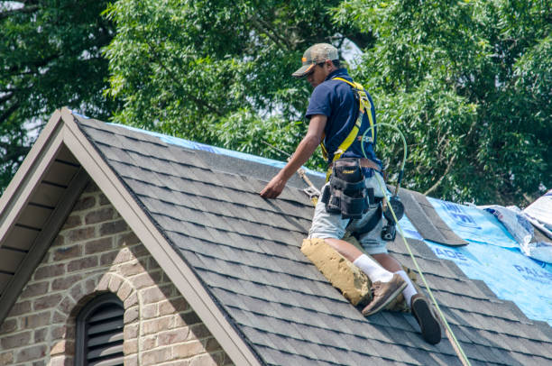Best Roof Inspection Near Me  in Alma, MI